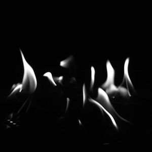 Meet your Posher, Ella